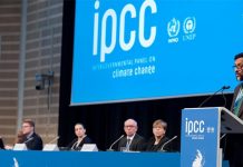 Los siete chilenos que redactarán el informe de cambio climático (La Tercera)