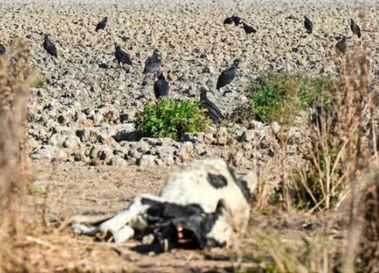 “Fase neutra”, el factor climático que explica el otoño seco (El Mercurio)