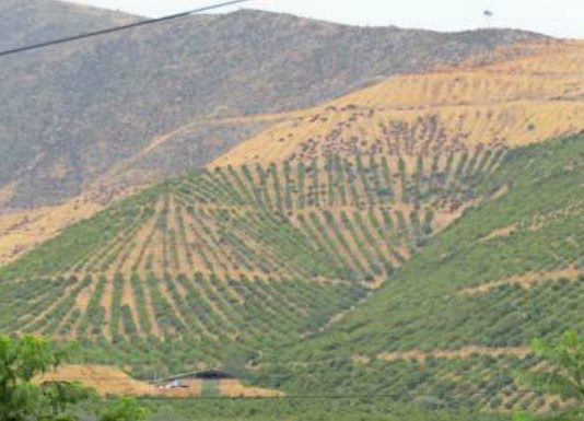 Se necesita mucho más que una lluvia otoñal para enfrentar la actual escasez hídrica (El Mercurio)