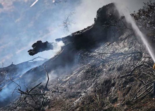 Nuevos datos ratifican que el ser humano está provocando el calentamiento del planeta (El Mercurio)