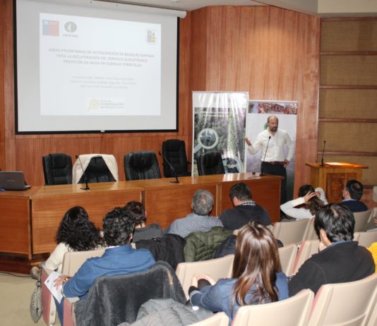 INFOR y UACh presentan propuestas para la restauración del bosque nativo a gran escala en el centro sur de Chile (Noticias Facforen UACh)