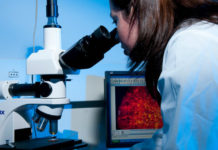 Investigadores de la FCFM comentan lo que esperan del Ministerio de Ciencia y Tecnología (Noticias FCFM U. Chile)