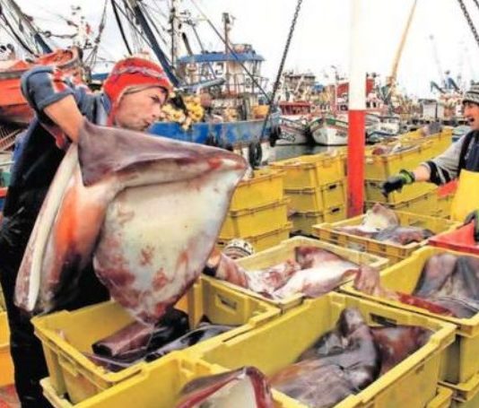 Advierten impacto en productividad marina por cambio climático (Hoyxhoy)