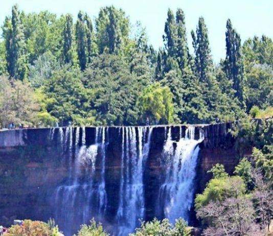 La protección del medio ambiente se construye desde la sociedad (El Mercurio)