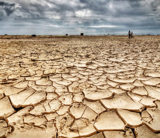 «Manifiesto de más de 100 juristas por un pacto mundial por el Medio Ambiente»