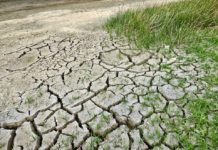 Los puntos clave para la ley de cambio climático que Chile necesita (Radio U. Chile)