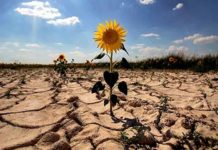 Los puntos clave para la Ley de Cambio Climático que Chile necesita (Noticias U. de Chile)