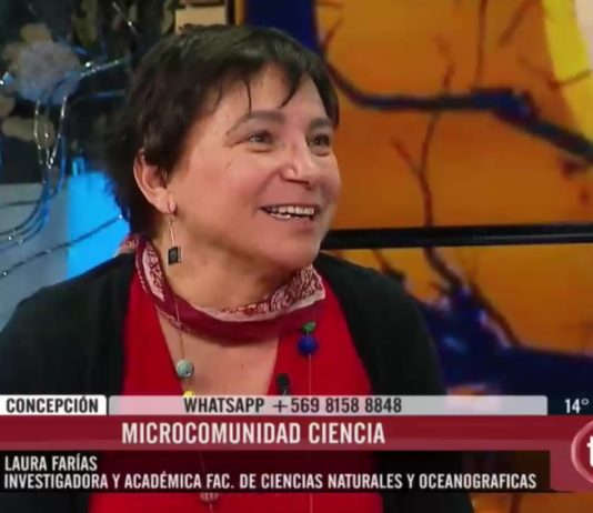Conoce las graves consecuencias que sufriría el planeta si la temperatura aumenta 1,5°C (TVU)