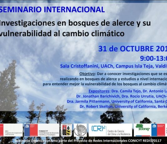 31 de octubre | Seminario Internacional «Investigaciones en bosques de alerce y su vulnerabilidad al cambio climático»