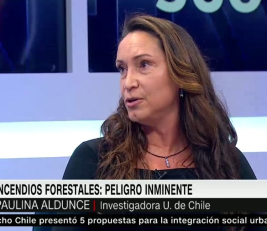 360°: Incendios forestales, peligro inminente (CNN Chile)