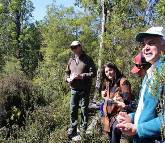 Científicos internacionales conocieron experiencias de restauración (Noticias Facforen UACh)