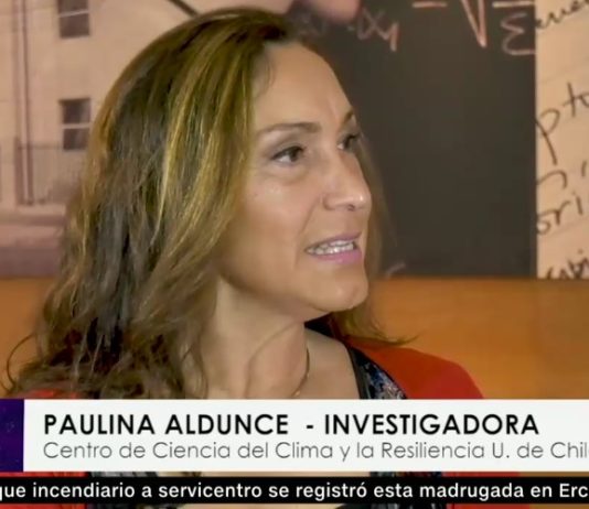 Mirada Central: Los desafíos internacionales para enfrentar el cambio climático (CNN Chile)