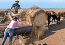 Las olas de calor y las sequías se duplicaron en menos de 100 años (El Mercurio)