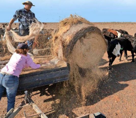 Las olas de calor y las sequías se duplicaron en menos de 100 años (El Mercurio)