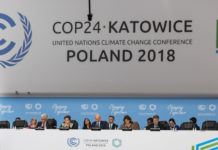 Investigadora Pilar Moraga por cambio climático: “Estamos en una situación de urgencia” (Radio U. de Chile)