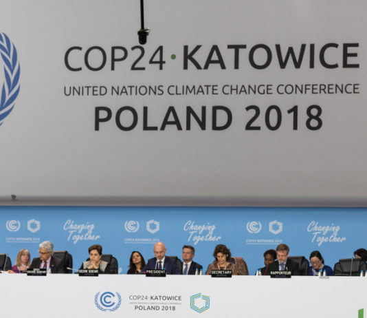 Investigadora Pilar Moraga por cambio climático: “Estamos en una situación de urgencia” (Radio U. de Chile)