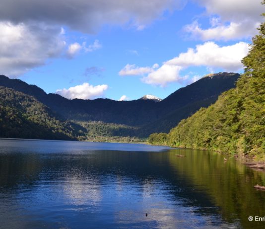 Académicos UACh aportan información clave para la creación de Santuario de la Naturaleza Cuenca del Lago Tinquilco (Noticias Facforen UACh)