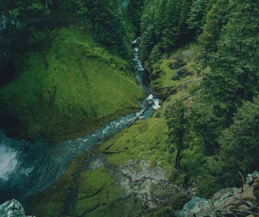 Antonio Lara: «Si se deterioran los bosques, van a haber consecuencias como la disminución en la producción del agua o el deterioro en su calidad»
