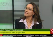 Fenómeno climático: Los problemas para el mundo agrícola (CNN Chile)