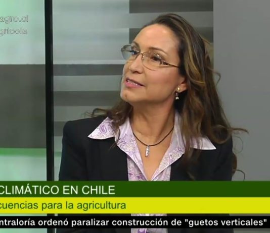 Fenómeno climático: Los problemas para el mundo agrícola (CNN Chile)