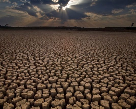 En la prensa: Día Mundial del Agua y megasequía
