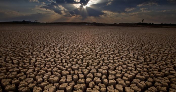 GP021AC_Web_size_with_credit_line_816x428