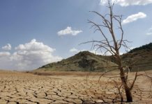 Día Mundial del Agua: cómo el cambio climático y la deforestación del Amazonas están secando parte de América Latina (Mongabay LATAM)