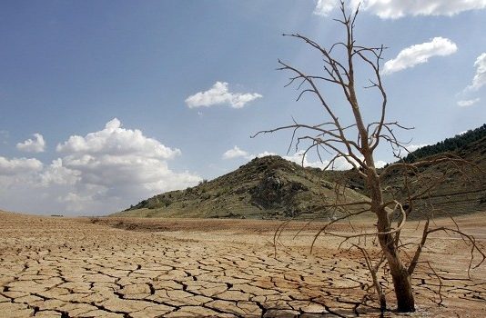 Día Mundial del Agua: cómo el cambio climático y la deforestación del Amazonas están secando parte de América Latina (Mongabay LATAM)