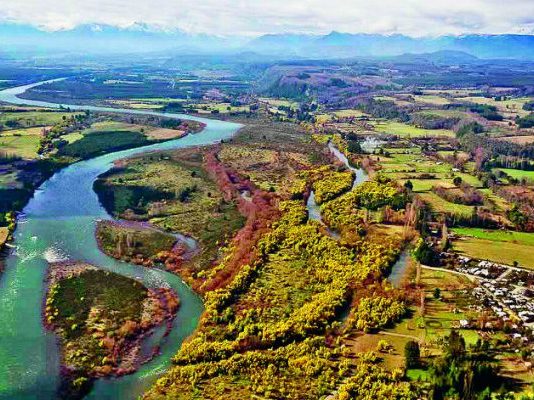 Ciencias ambientales presente en la COP25 (Diario Concepción)