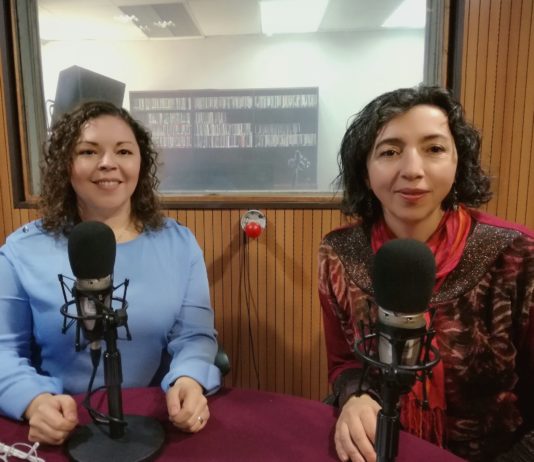 De una vez por todas: Entrevista a Cecilia Ibarra (Radio Usach)