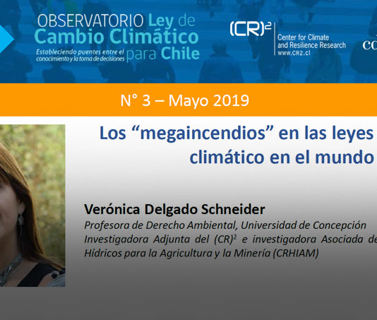Policy brief Observatorio Ley de Cambio Climático: Los “megaincendios” en las leyes de cambio climático en el mundo