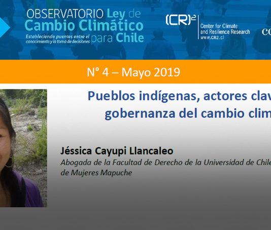 Policy brief Observatorio Ley de Cambio Climático: Pueblos indígenas, actores claves en la gobernanza del cambio climático