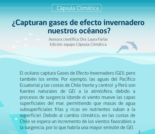 Cápsula climática: ¿Capturan gases de efecto invernadero nuestros océanos?