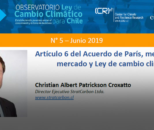 Policy brief Observatorio Ley de Cambio Climático: Artículo 6 del Acuerdo de París, mecanismos de mercado y Ley de cambio climático