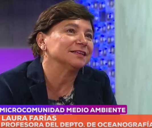 COP 25: la cumbre medioambiental que pone a prueba a Chile (TVU)