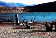 Transformación: el nuevo concepto asociado al Cambio Climático que la sociedad debe conocer (Noticias U. de Chile)