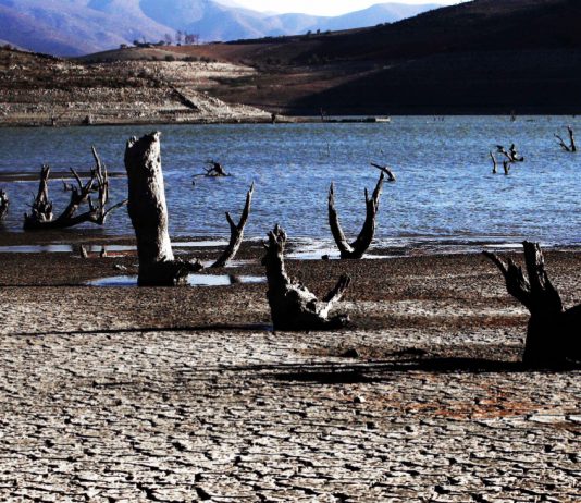 Acarrear pesados baldes de agua y lavar de noche: Sequía dificulta la vida de mujeres rurales (El Desconcierto)