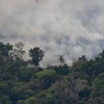 _108479931_mediaitem108479930