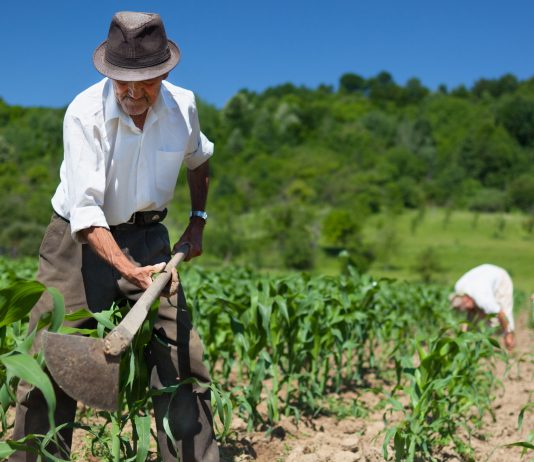 Policy brief (CR)2: Chile y la necesidad de adaptarse ante los cambios en las precipitaciones que afectarían la producción agrícola
