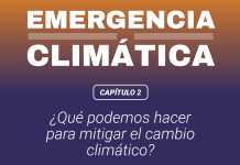 Emergencia climática: ¿Qué podemos hacer para mitigar el cambio climático? (El Desconcierto)