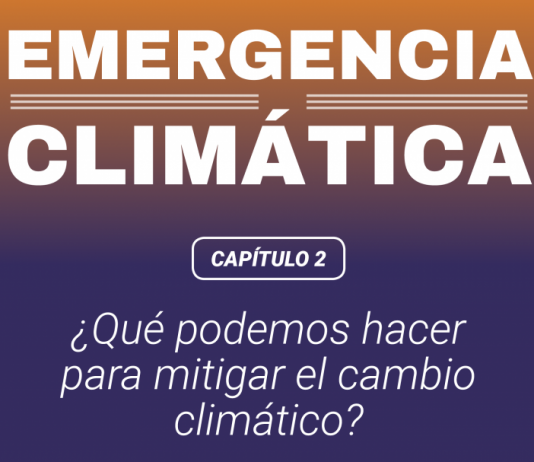 Emergencia climática: ¿Qué podemos hacer para mitigar el cambio climático? (El Desconcierto)