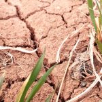 Plantilla slider web CR2 3