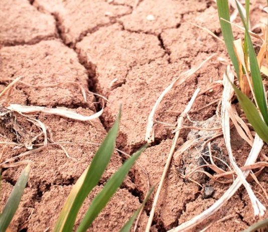 Análisis: “Te pillamos po’, compadre” (las causas de la megasequía) | (CR)2