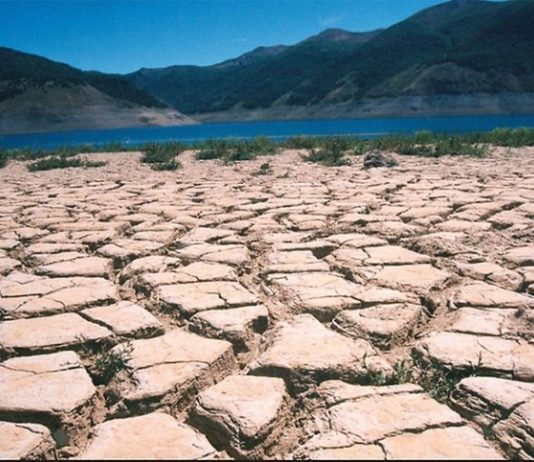 En la prensa: ¿Qué es el concepto de transformación?