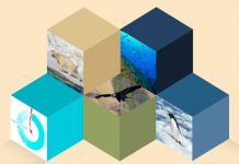 Quiénes son las autoridades y civiles que están a la cabeza de la organización de la COP25 (Emol)