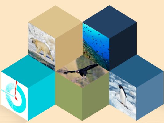 Quiénes son las autoridades y civiles que están a la cabeza de la organización de la COP25 (Emol)