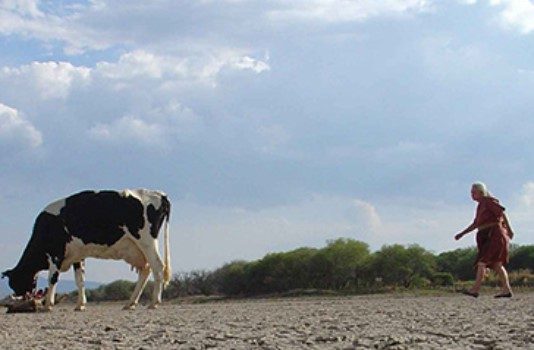 La «megasequía» es un adelanto de lo que será el futuro de Chile (Noticias Conecta Resiliencia)