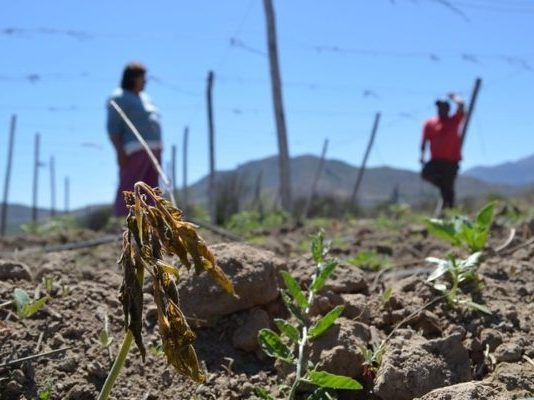Expertos advierten falta de recursos para mitigar sequía en zona central y anticipan crisis hídrica (Radio Biobío)