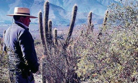 Megasequía: hace 50 años que a la región no le faltaba tanta agua (La Estrella de Valparaíso)