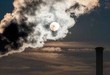 Líderes climáticos llaman a la calma: “Trump no detendrá la descarbonización. Es asunto de negocios” (El Mostrador)